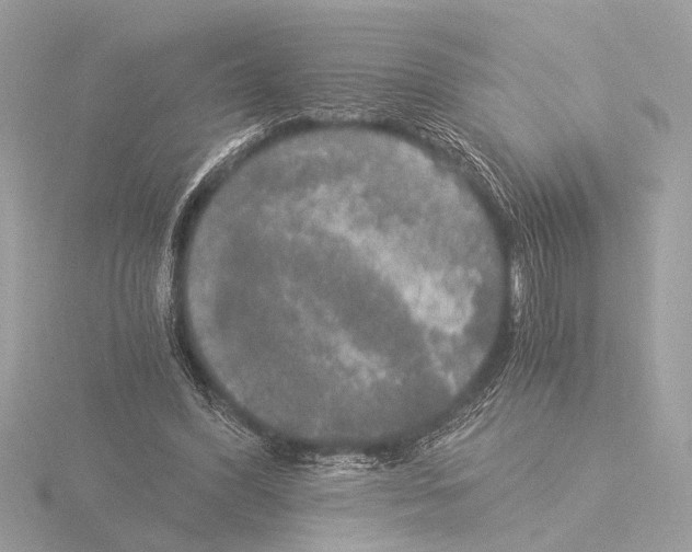 X0000116020396200912181153