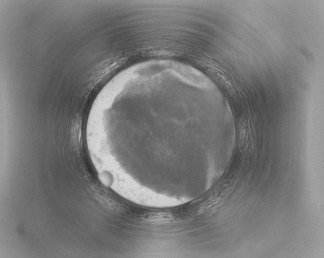 X0000116020398200912181153