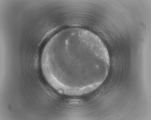 X0000116020400200912181153