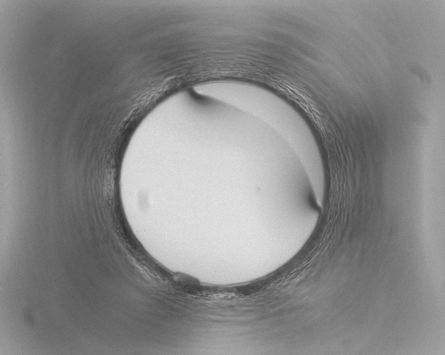 X0000116020401200912181153