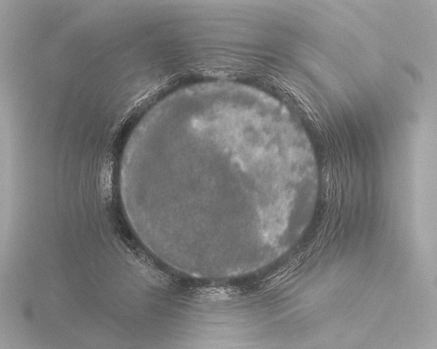 X0000116020404200912181153