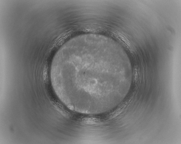 X0000116020408200912181153