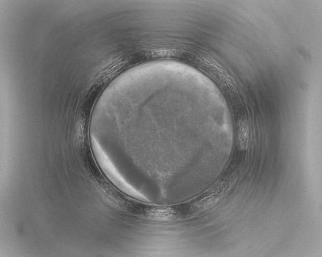 X0000116020410200912181153