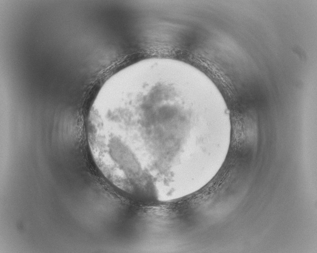 X0000116020411200912181153