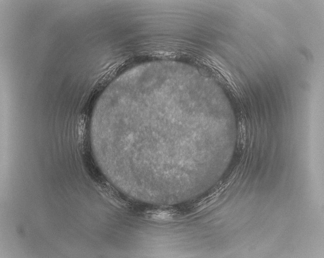 X0000116020412200912181153