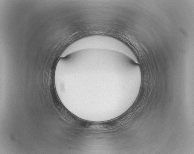 X0000116020413200912181153