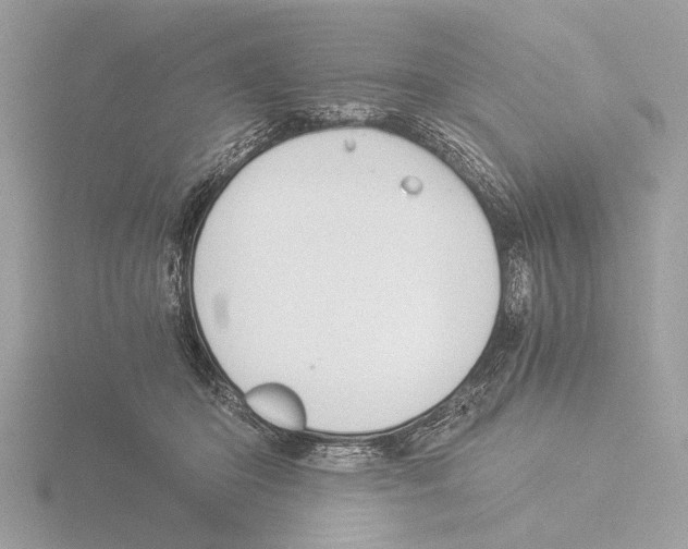 X0000116020414200912181153