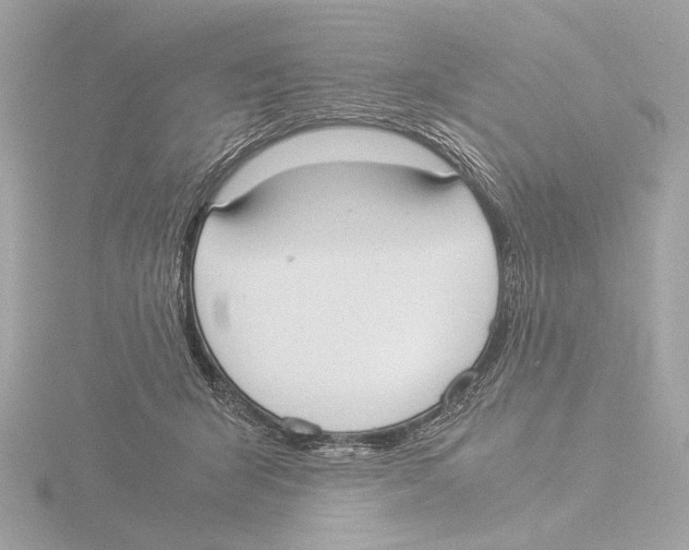 X0000116020415200912181153