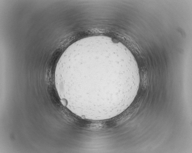 X0000116020418200912181153