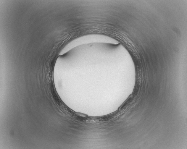 X0000116020419200912181153