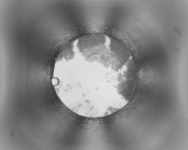 X0000116020423200912181153