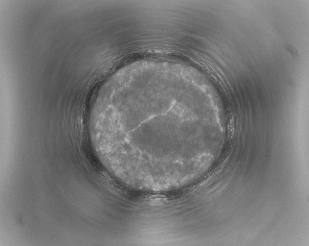 X0000116020424200912181153