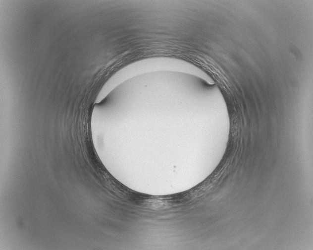 X0000116020425200912181153