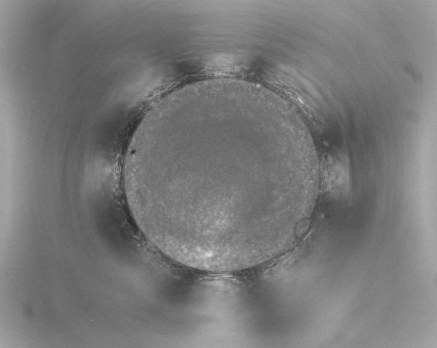 X0000116020427200912181153