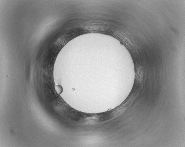 X0000116020430200912181153