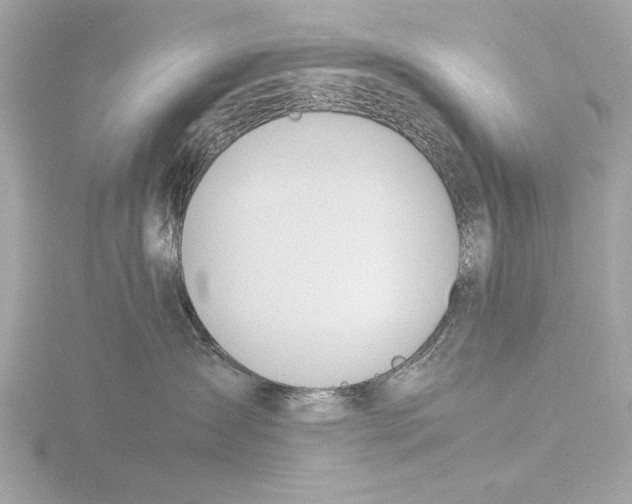 X0000116020431200912181153