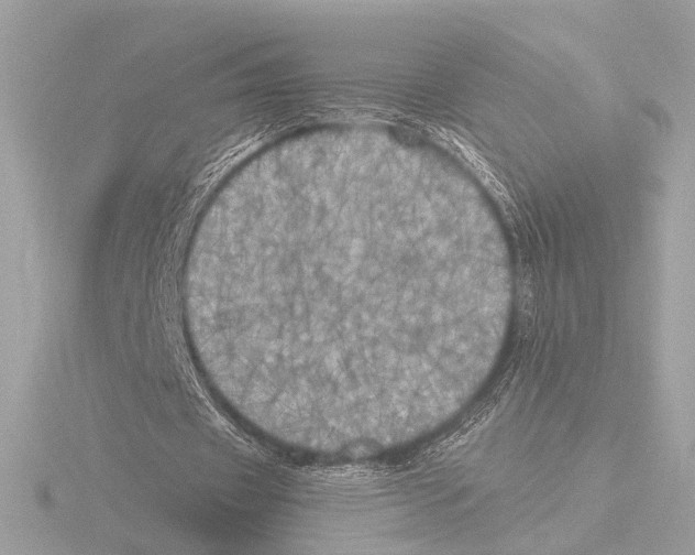 X0000116020433200912181152