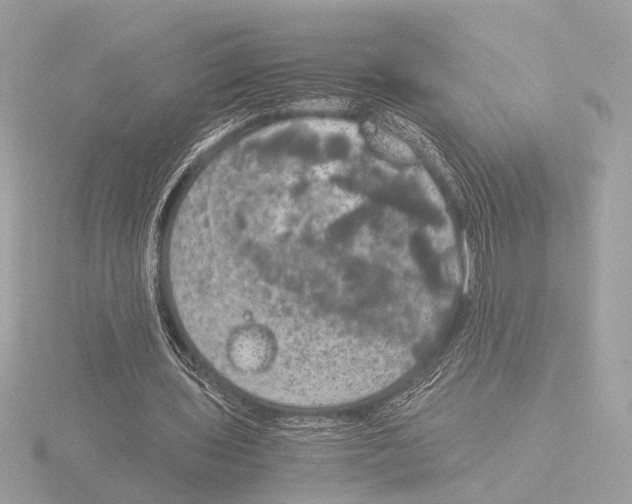 X0000116020435200912181152