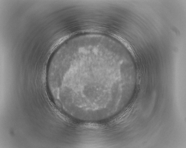 X0000116020437200912181152