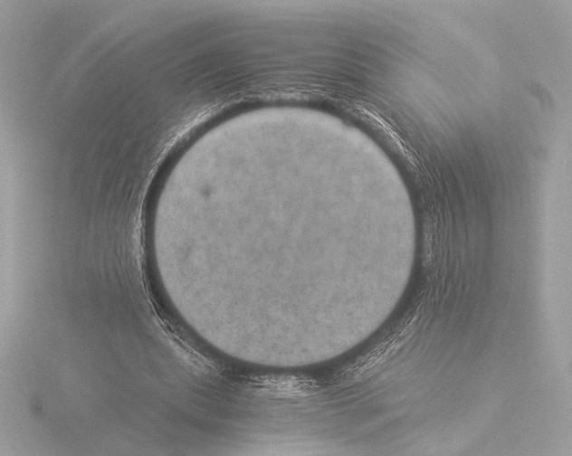 X0000116020439200912181152