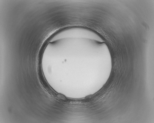 X0000116020440200912181152