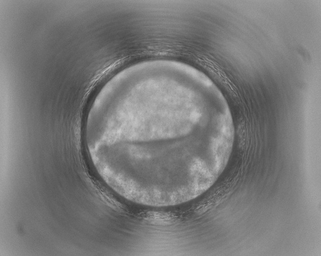 X0000116020442200912181152