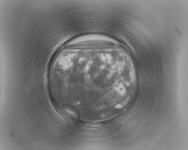 X0000116020443200912181152