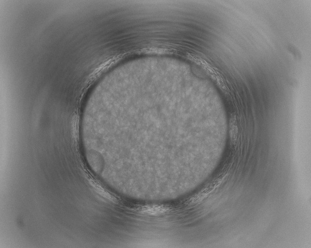 X0000116020445200912181152