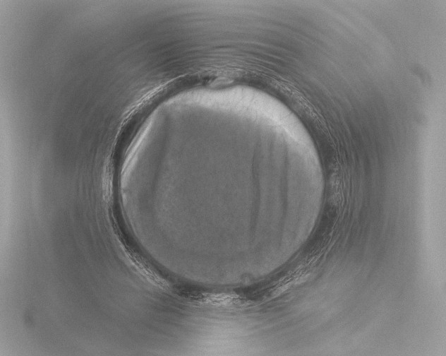 X0000116020446200912181152