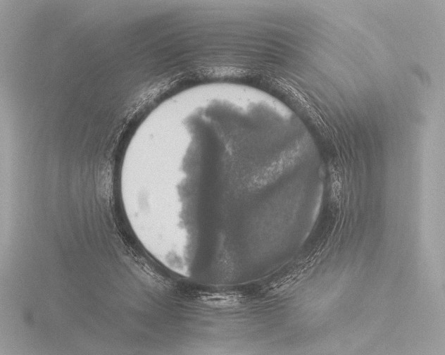 X0000116020447200912181152