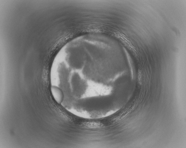 X0000116020449200912181152