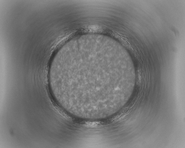 X0000116020450200912181152