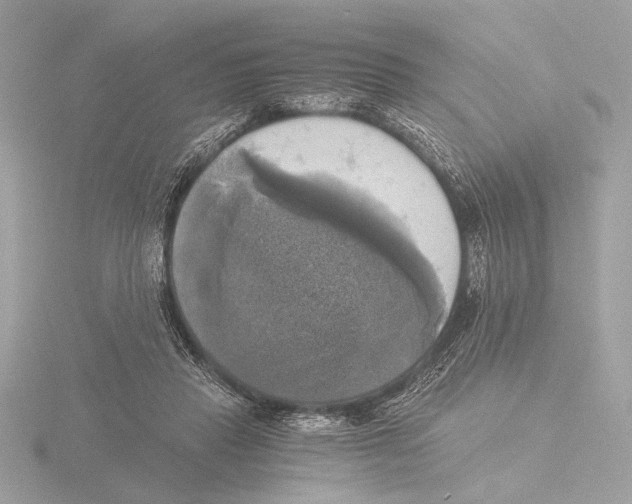 X0000116020453200912181152