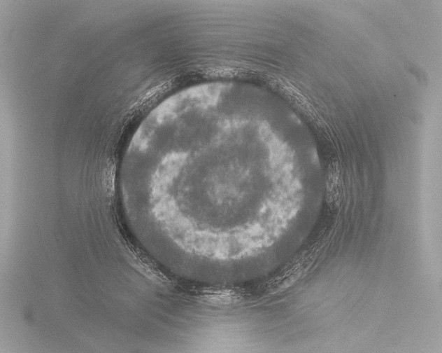 X0000116020454200912181152