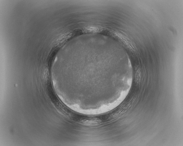 X0000116020459200912181153