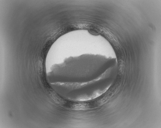 X0000116020461200912181153