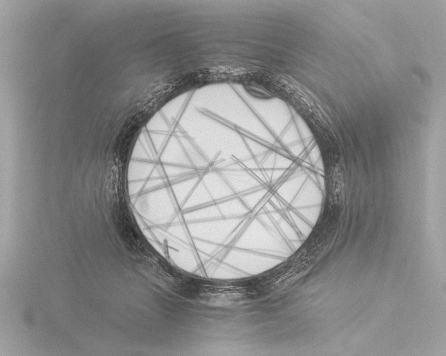 X0000116020463200912181153