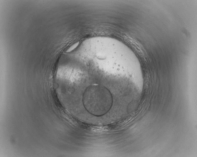 X0000116020465200912181153