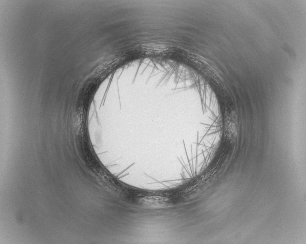 X0000116020468200912181153