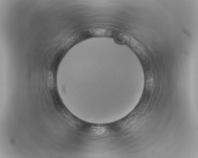 X0000116020469200912181153