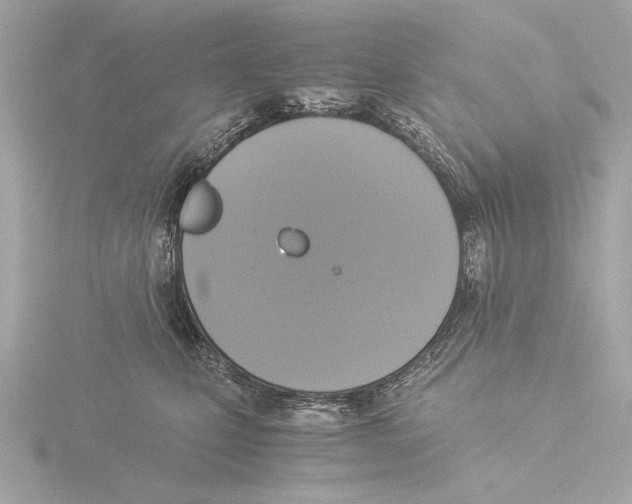 X0000116020471200912181153