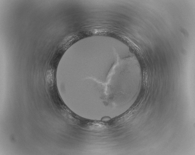 X0000116020475200912181153