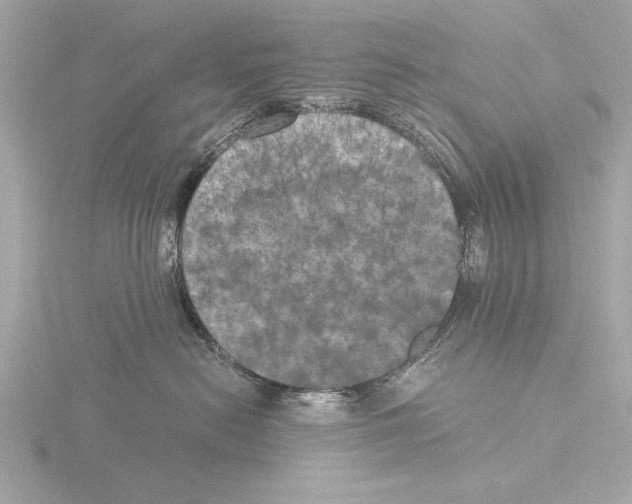 X0000116020478200912181153