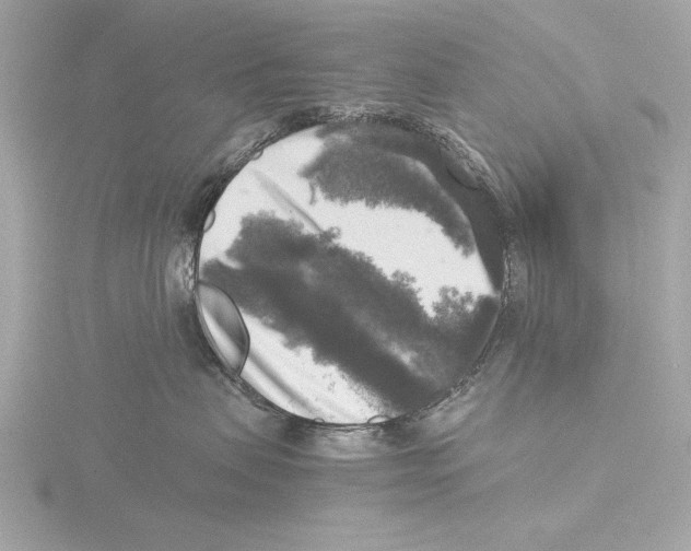 X0000116020479200912181153