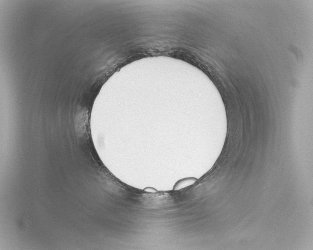 X0000116020480200912181153