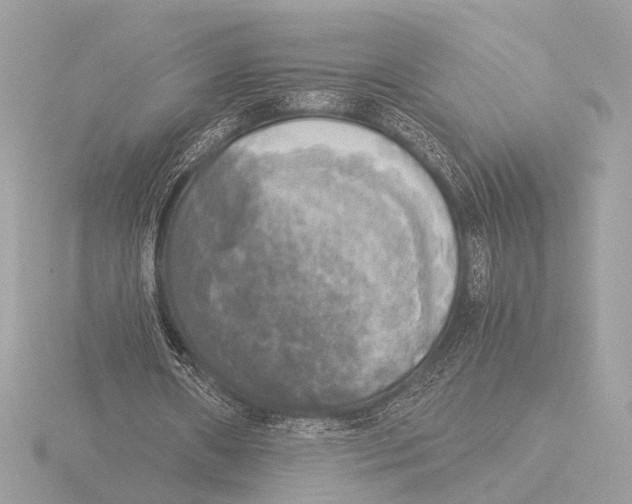 X0000116020482200912181152