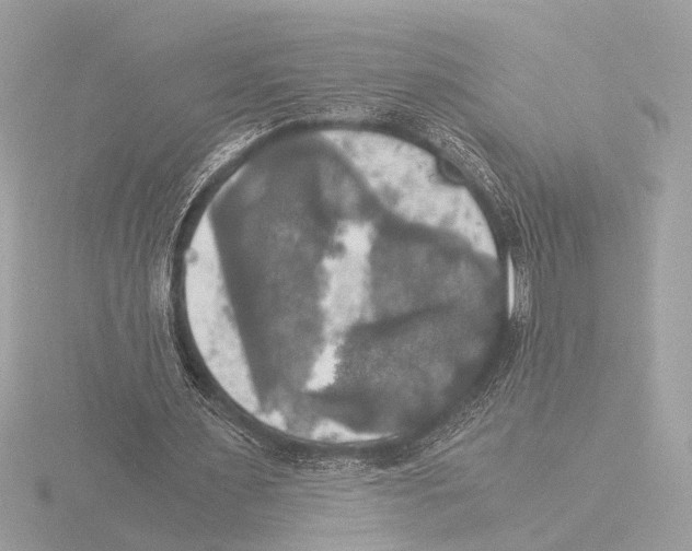 X0000116020483200912181152