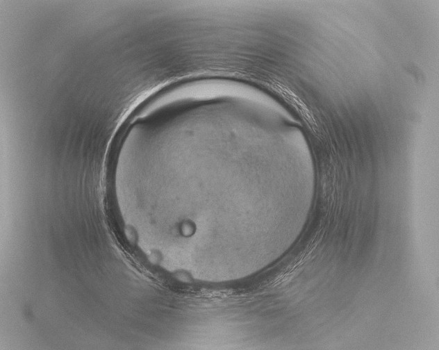 X0000116020484200912181152