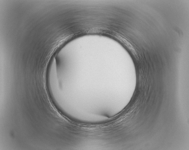 X0000116020485200912181152