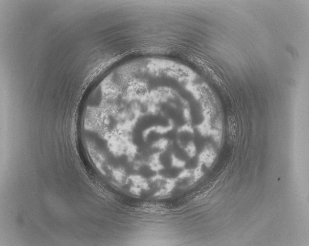 X0000116020487200912181152